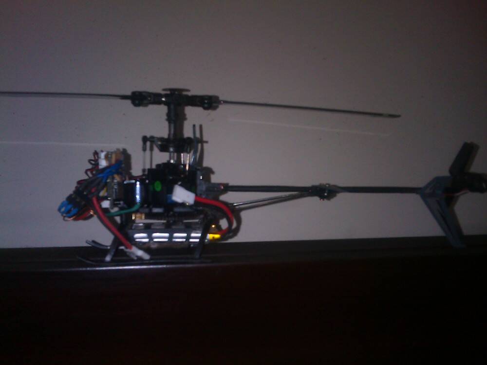 IMAG_0155.jpg