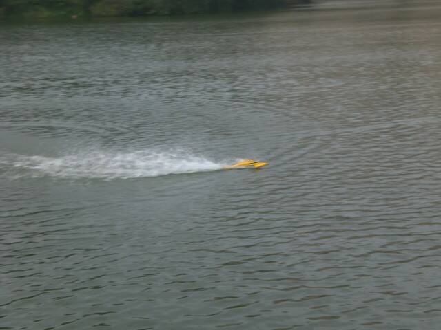 CIMG8410.JPG