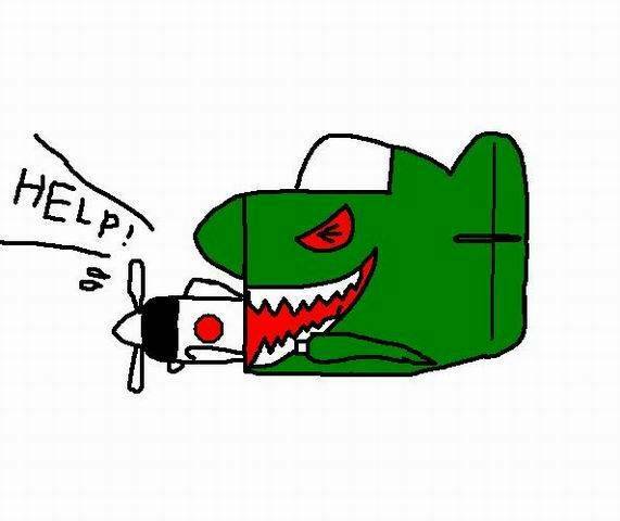 p40.JPG