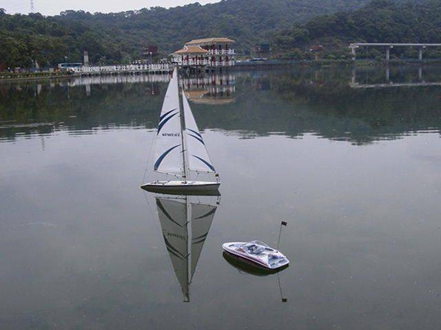 泳闖大湖