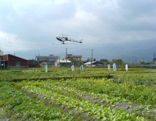 田園小飛場2.JPG