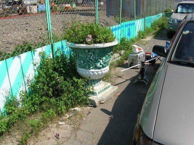前51.JPG
