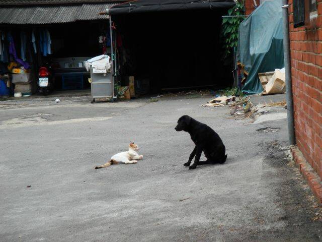 照片.jpg
