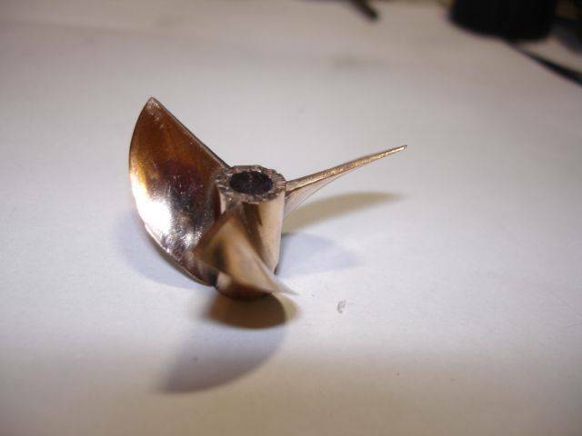 照片 337.jpg