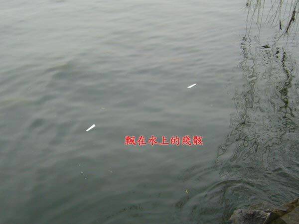 殘骸.jpg