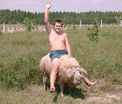 taming-the-beast.jpg