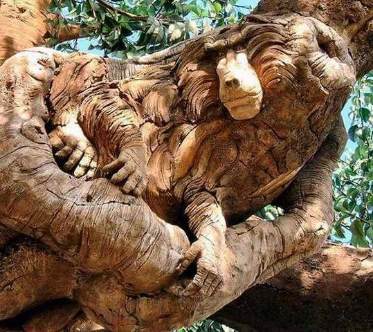 tree_of_life_1k1212.jpg