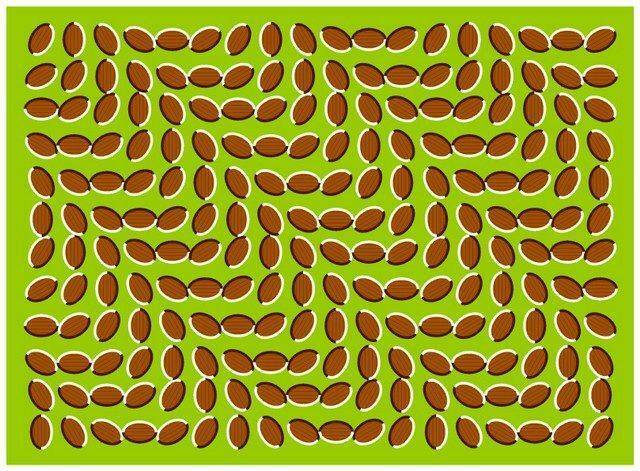 trippy.jpg