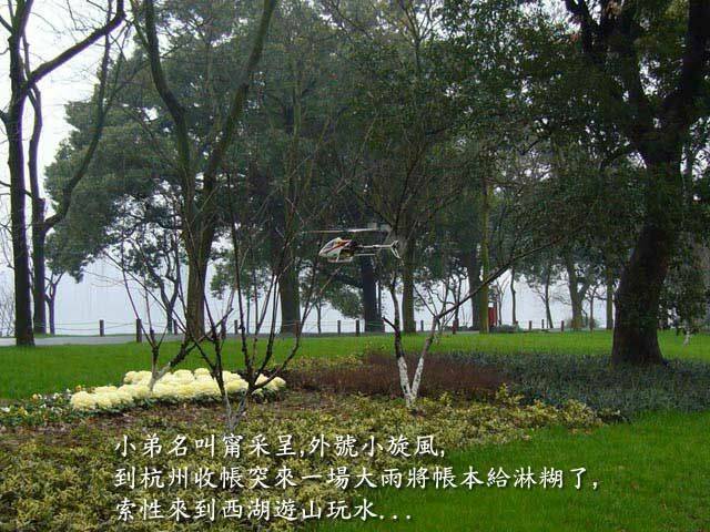 遊西湖.jpg