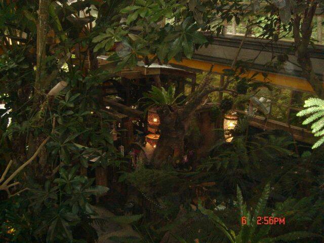 樹屋鳥瞰2.JPG