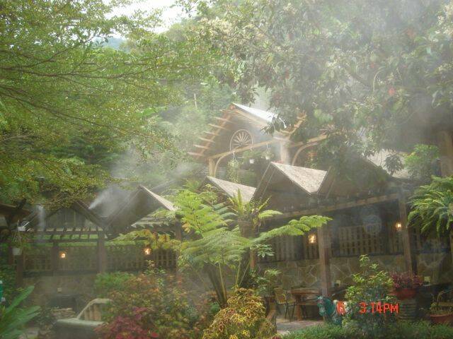 霧中奇景.JPG
