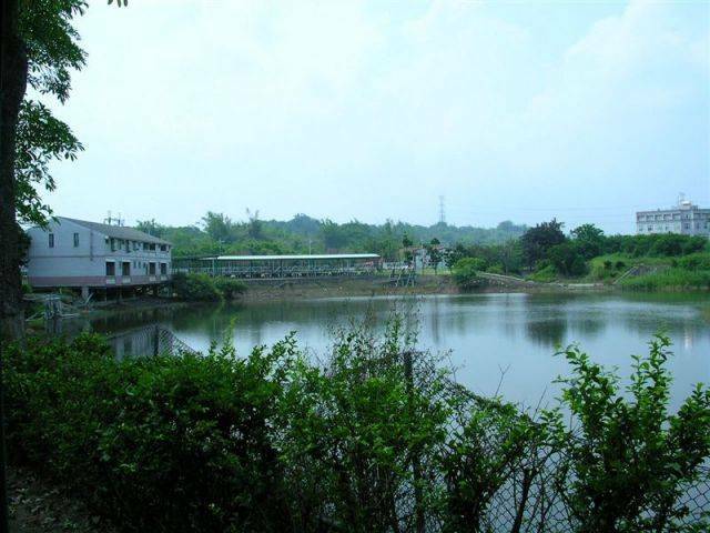 麗湖2.jpg